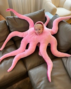 Iibin kulul oo cute octopus barkin xayawaan ah oo cufan