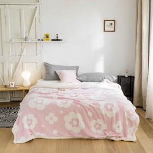 Новое двухслойное утолщенное теплое коралловое бархатное одеяло в скандинавском стиле, бархатное одеяло из ягненка, фланелевое ворсовое одеяло, оптовая продажа