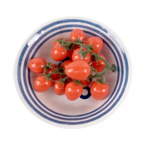 Tigela de melamina azul e branca ecologicamente correta para servir pratos de macarrão para restaurante de hotel