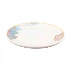 Изготовленная на заказ красочная элегантная квадратная нерегулярная столовая посуда меламина столовой посуды кухни установленная для ресторанов