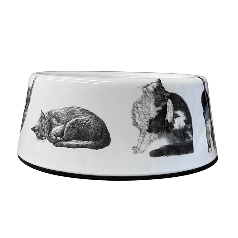 Cat Dancing and Playing Pattern Melamine Pet Bowl Featured Image