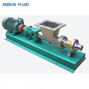 Stainless steel screw pump with hopper