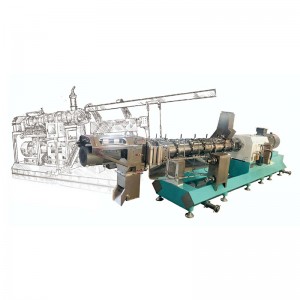 Factory Free sample Triple Shaft Mixer - Professional manufacturer Twin Screw Extruder for Feed industry – Zhengyi