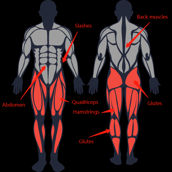 სარბენი ბილიკის შესწავლა: ყოვლისმომცველი სახელმძღვანელო კუნთების ასაშენებლად
