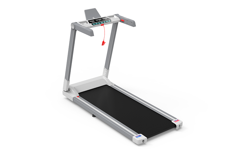 Treadmill Ġdid Ġej, Formazzjoni tal-Fitness, biss ħuha