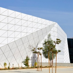 Алуминиумски композитен панел и алуминиумски лим Завеси за ѕидови Deshion Производи Монтирање во странство