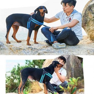 Breathable Padded Pet Harness with 2 Adjustable Bottons