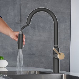 NSF CUPC បញ្ជាក់ faucet ផ្ទះបាយទាញចុះក្រោម Metis Collection Zinc Alloy Faucet 12101182