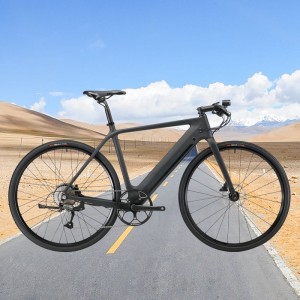 Super Lowest Price  Carbon Fork Road Bike  - wholesale carbon electric gravel bike from China supplier | EWIG – Ewig