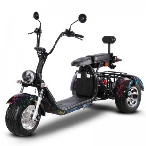 Q43W Halley Citycoco Electric Scooter