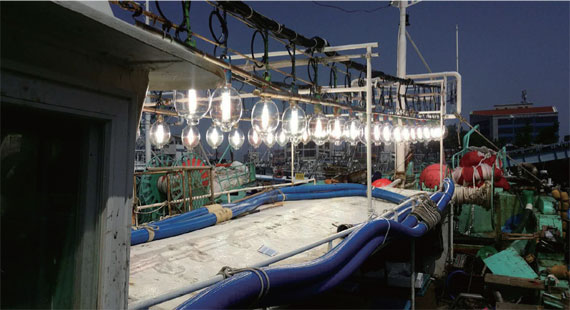 Squid fishing is booming in unregulated parts of the ocean | New Scientist
