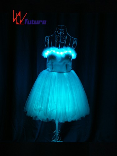 China Professional Customized LED Light up Dress Costume WL-0169