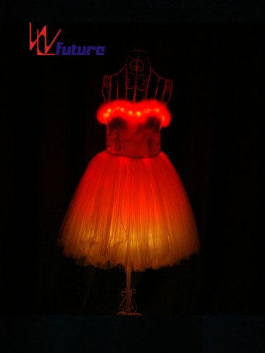 China Professional Customized LED Light up Dress Costume WL-0169