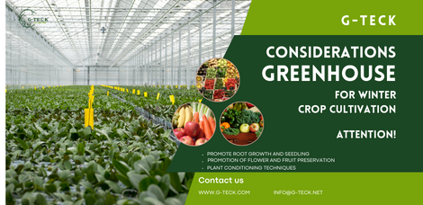 Considerations for Winter Greenhouse Crop Cultivation-1