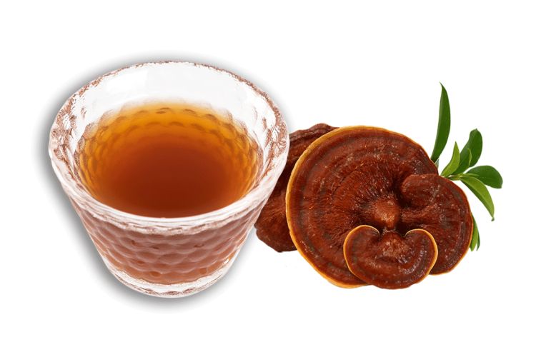 Reap the benefits of autumn Reishi soup for health & wellness
