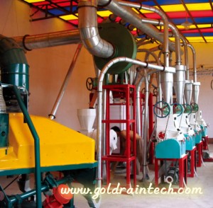 5-8TONS PER DAY MAIZE MILLING PLANT