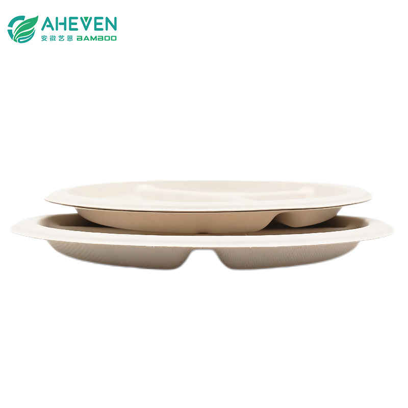 By 2031, Bagasse Plates Market Is Anticipated to Cross US$