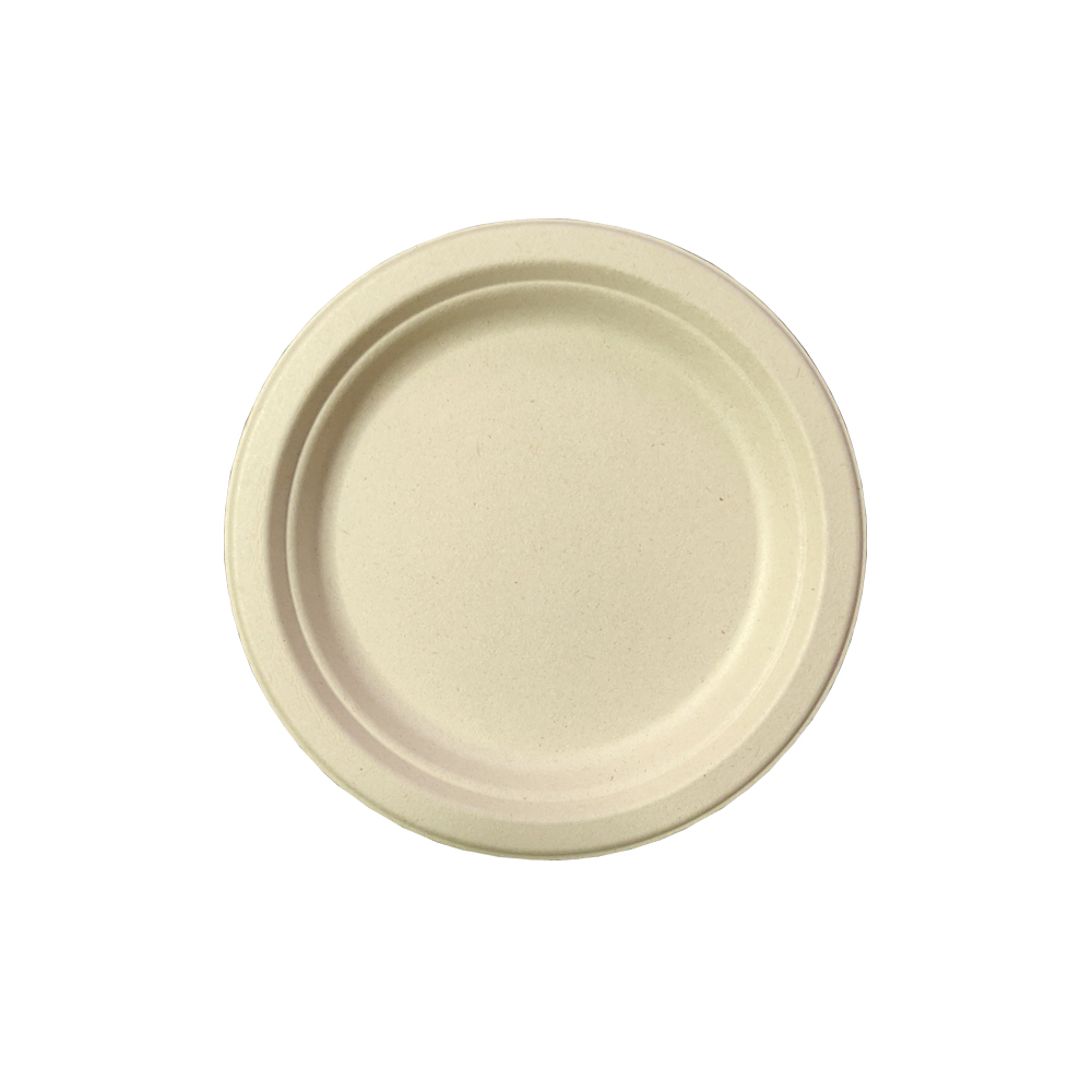Global Biodegradable Disposable Tableware Market 2023 to 2030: Driven by Environmental Sustainability Trends