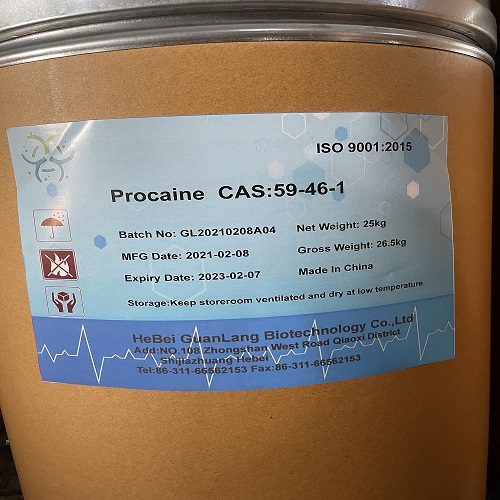 garis produksi anyar basa procaine kalawan cas 59-46-1