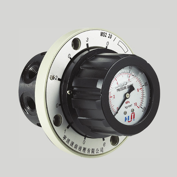 High definition Brass Balance Valve -
 AM6E SERIES PRESSURE GAUGE SWITCH WITH 6 POINTS – Hanshang Hydraulic