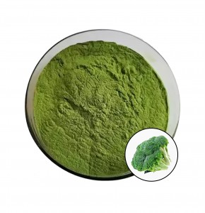Fresh Organic Broccoli Powder for Superfood Supplement