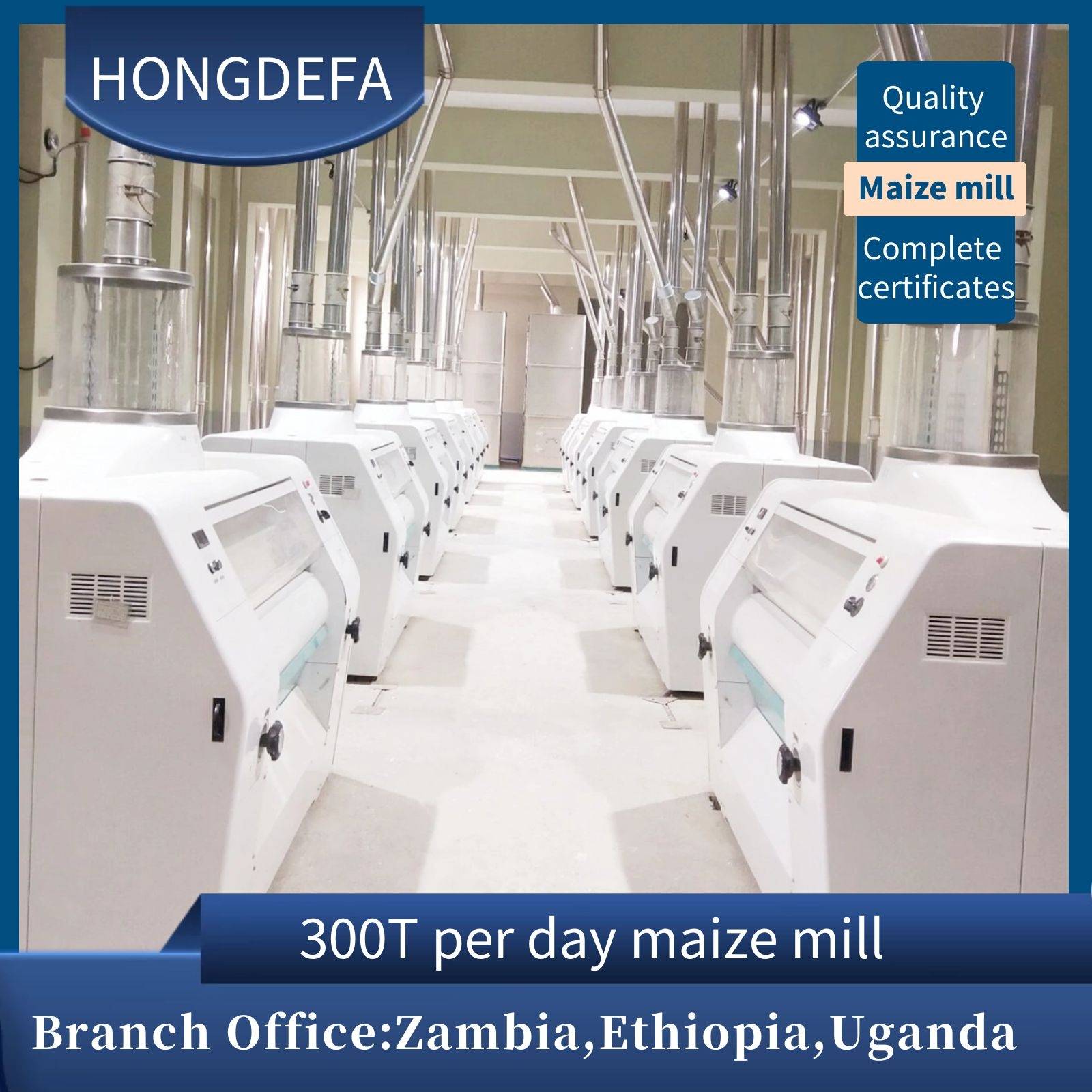 How to invest and build your own mill — —Why chose Hongdefa machinery?