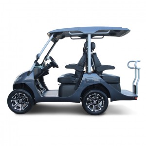 Premium Personal Golf Cart To Fit Your Style