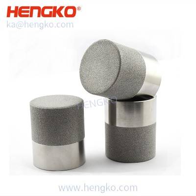 HK99MCN temperatur- och fuktighetssensor 316l rostfritt stål sintrade fuktsensorsond filterskydd