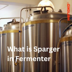 Այն ամենը, ինչ դուք պետք է իմանաք Sparger-ի մասին Fermenter-ում