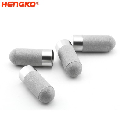 HENGKO rs485 водоотпорен сензор за влажност на зрно од нерѓосувачки челик заштитно куќиште за порозно сензор