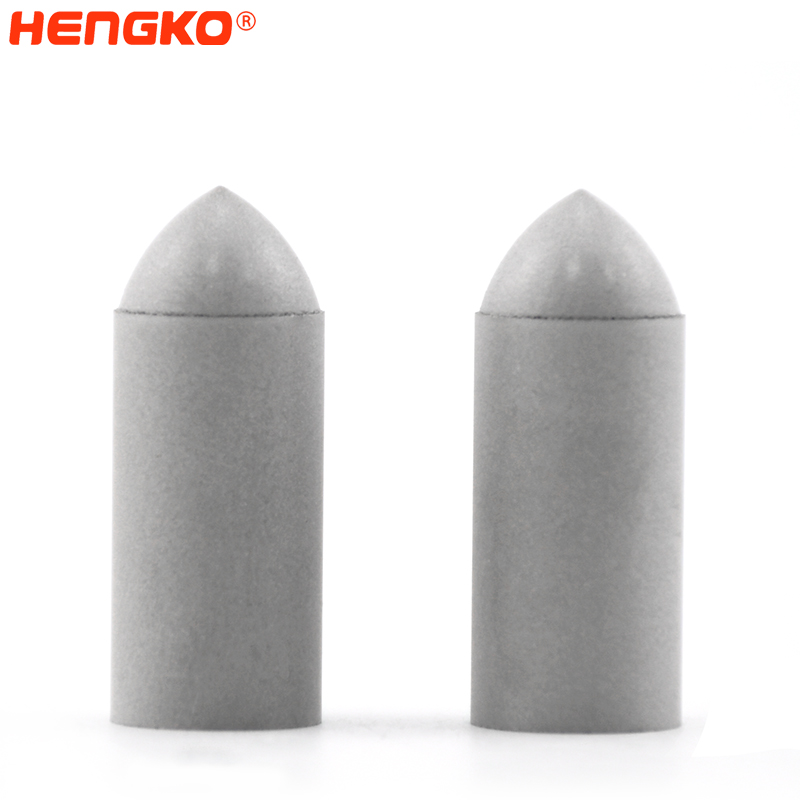 OEM/ODM Кина порозен метал - Куќиште за сензор за влажност отпорно на прашина за инструменти за влажност - HENGKO