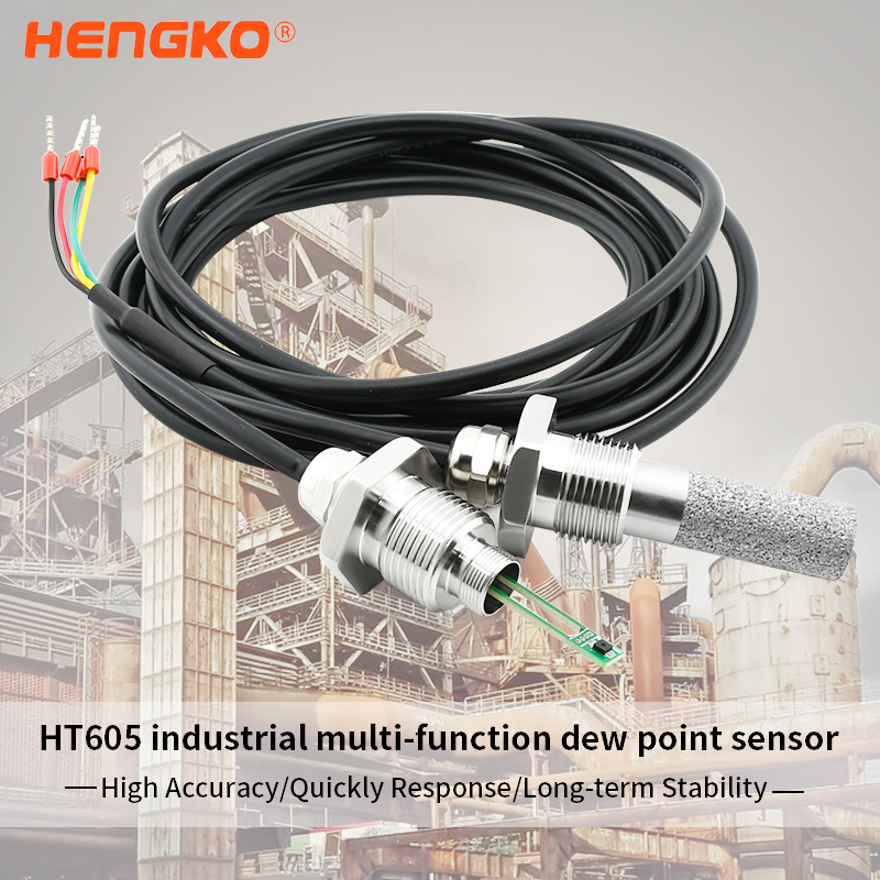 तापमान आर्द्रता सेन्सर - HT-607 ओस बिन्दु मीटर ट्रान्समिटर OEM अनुप्रयोगहरू - HENGKO को लागि तपाईंको प्रणाली सुरक्षित गर्नुहोस्