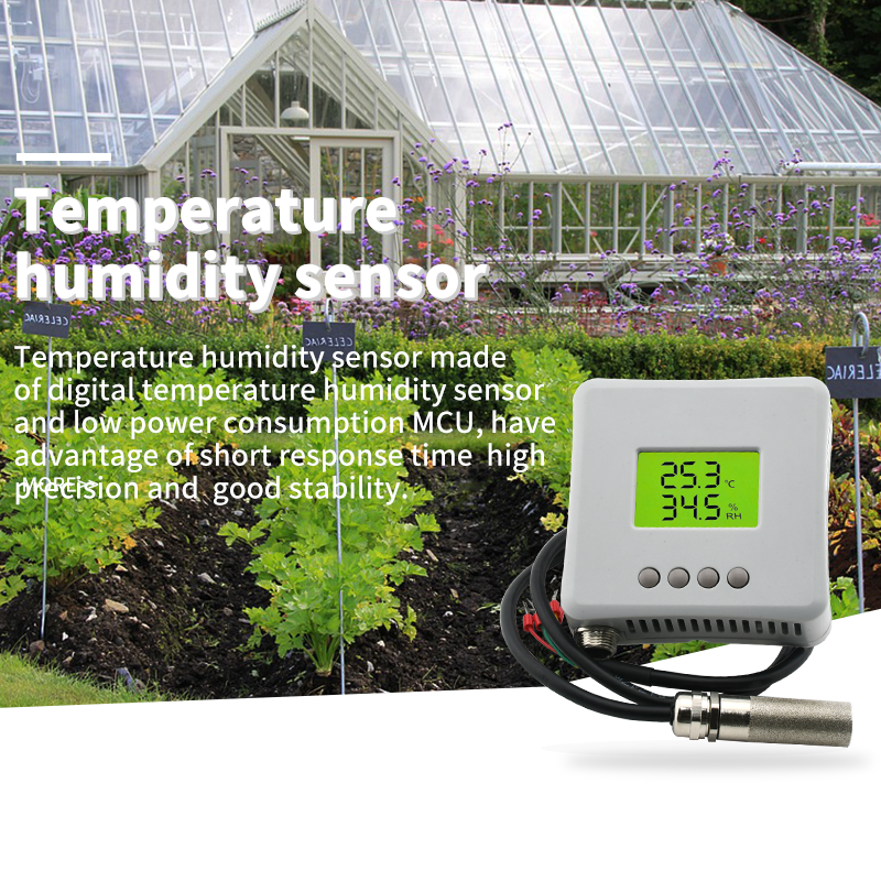 Capteur de température et d'humidité Rs485 - Transmetteur de température et d'humidité relative à distance HT-802P avec protection de sonde d'humidité poreuse pour serre - HENGKO