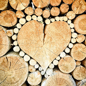Pourquoi est-il important de surveiller la température et l’humidité dans l’industrie du bois ?