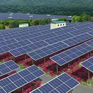 कसरी Agrivoltaic Farming ले बाली उत्पादन बढाउन सौर्य उर्जा प्रयोग गर्दछ