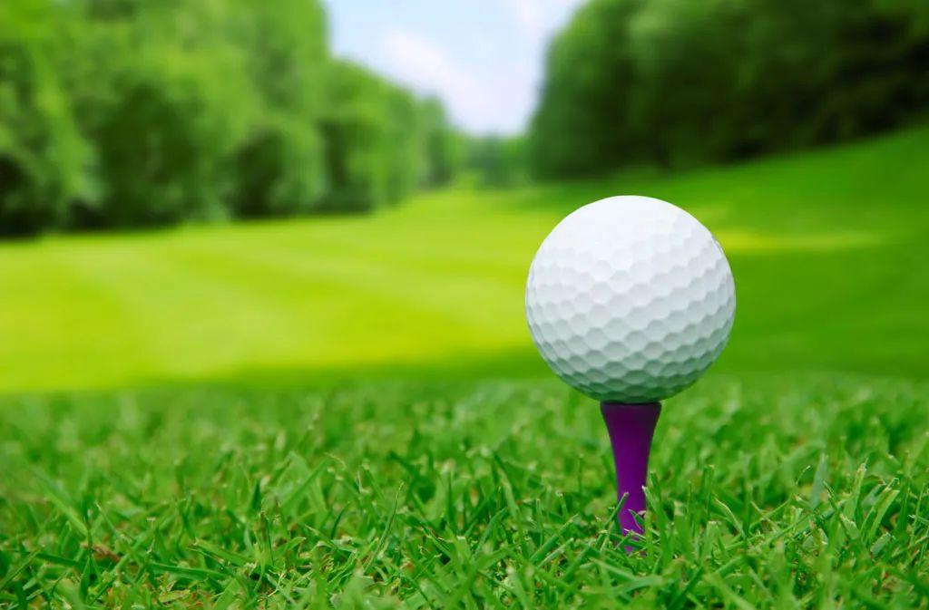 Golf is not an aristocratic sport, it is a spiritual necessity for every golfer