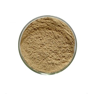 China Gold Supplier for Pure Natural Stevia - Litchi chinensis – Hugestone Enterprise