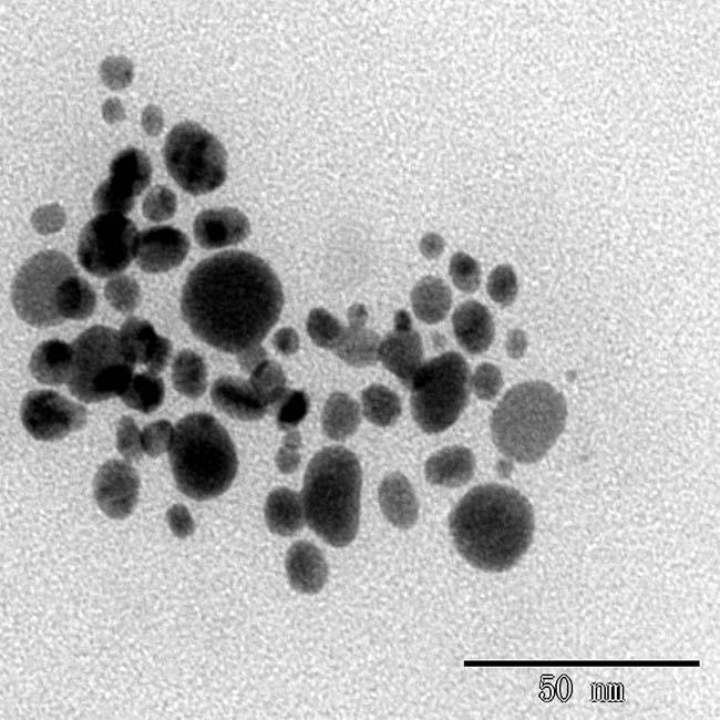 Nano Silver Antibacterial Dispersion, Monomer Nano Silver Solution, Nano Silver Colloid