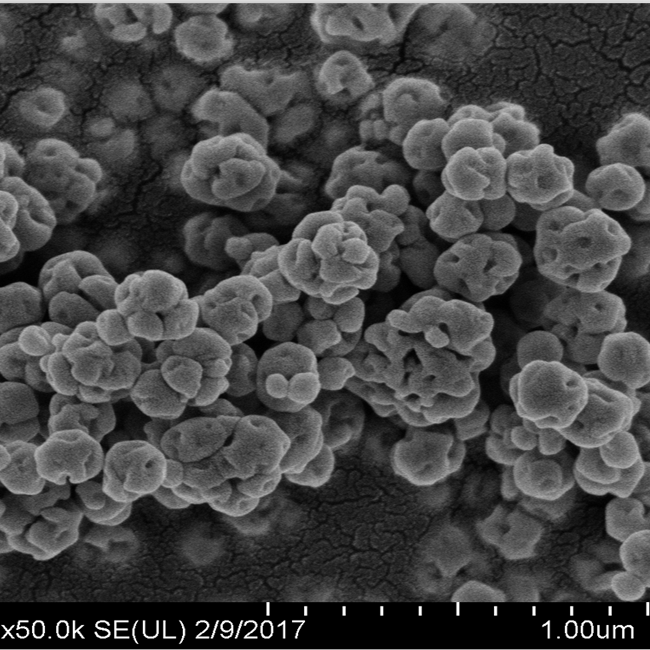 Nano Barium Titanate-Ukulungiselela, Isicelo, uMvelisi
