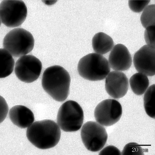 Monodispergovaný koloid rubínově červeného zlata používaný v technologii imunoznačení