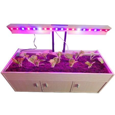 What kind of environment is LED plant light most suitable for plant growth?