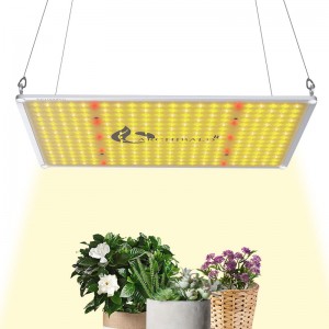 Ang AR 2000 High LED Grow Light nga hydroponic nga nagtubo nga mga sistema nanguna sa panel light garden greenhouse