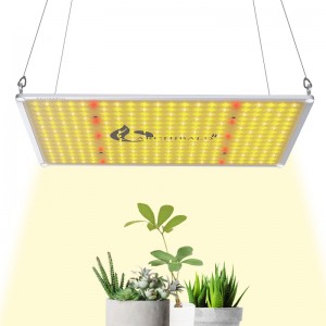 Ang AR 2000 High LED Grow Light nga hydroponic nga nagtubo nga mga sistema nanguna sa panel light garden greenhouse