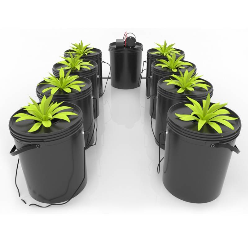 DWC Hydroponic Bucket System|Archibald Grow Featured Image