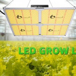 Padidinkite žydėjimą ir ilgesnį laiką UV IR LED auginimo šviesa viena juosta 50W UV 400nm pagerina gėlių kokybę