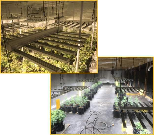 Ovo je projekat zatvorenog skladišta i šatora za uzgoj.Korištenje 5000K za VEG u skladištu, i 3500K+660nm za cvjetnice i matične biljke u šatoru za uzgoj.