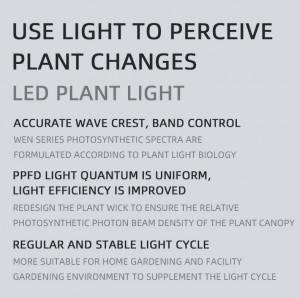 Geriausios augalų auginimo lempos|Archibald Grow light