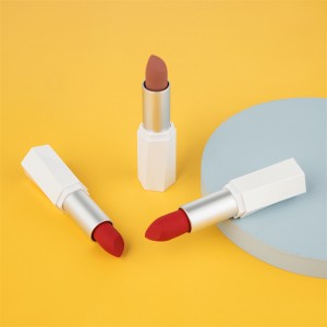 Rouge à lèvres cosmétique mat de velours solide d'OEM de rouge à lèvres de marque de distributeur faite sur commande