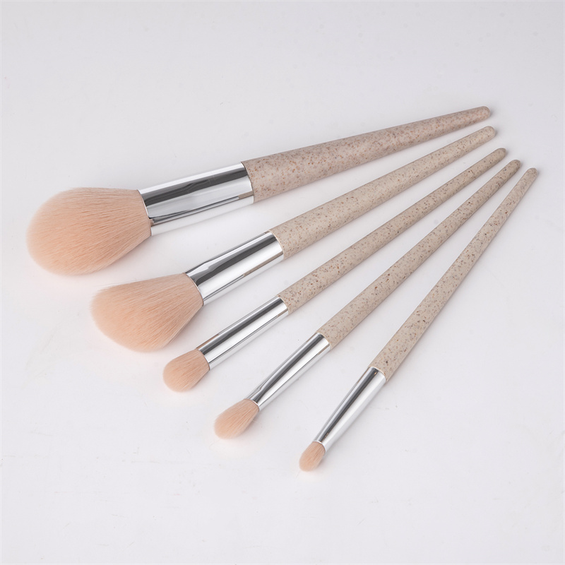 Vegan Makeup Brush Kit Wholesale Professional Priv1