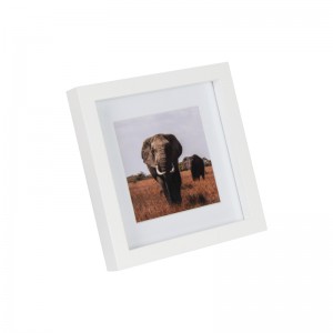 Shadow Box Memory Photo Frame Matted